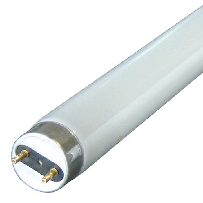 Fluorescent 6' Tube T8 26mm 70w Slimline 3 Fluorescent 6' Tube T8 26mm 70w Slimline